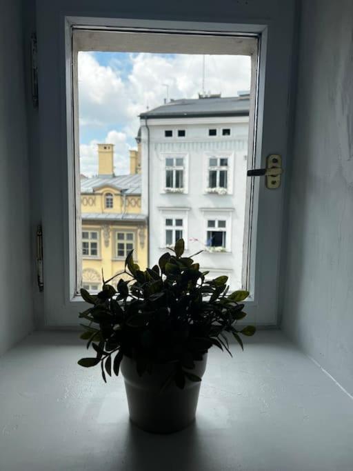 - Old Town Krakau